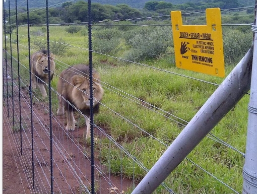 Farm Security Fence